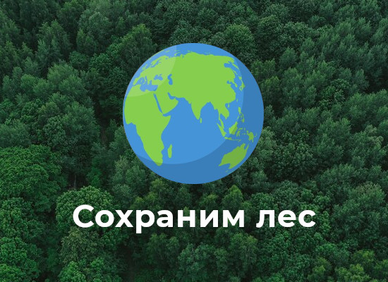 Проведена акция «Сохраним лес».
