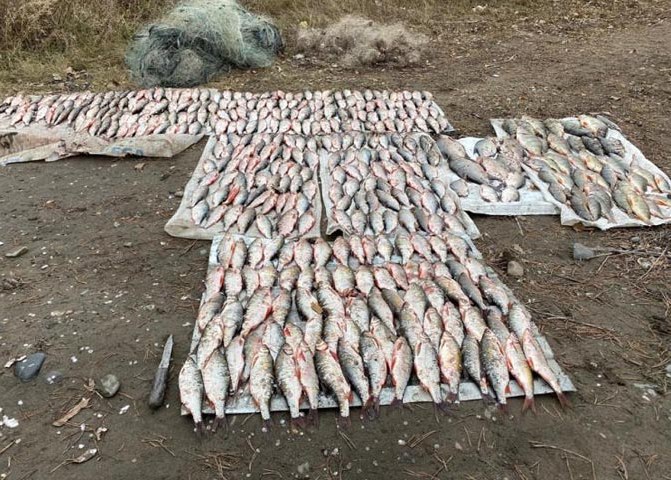 «В Республике Хакасия в суд направлено уголовное дело о незаконной добыче водных биологических ресурсов».