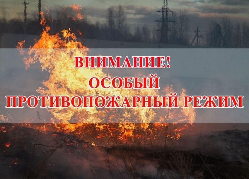 На территории Красноярского края вводится особый противопожарный режим!.